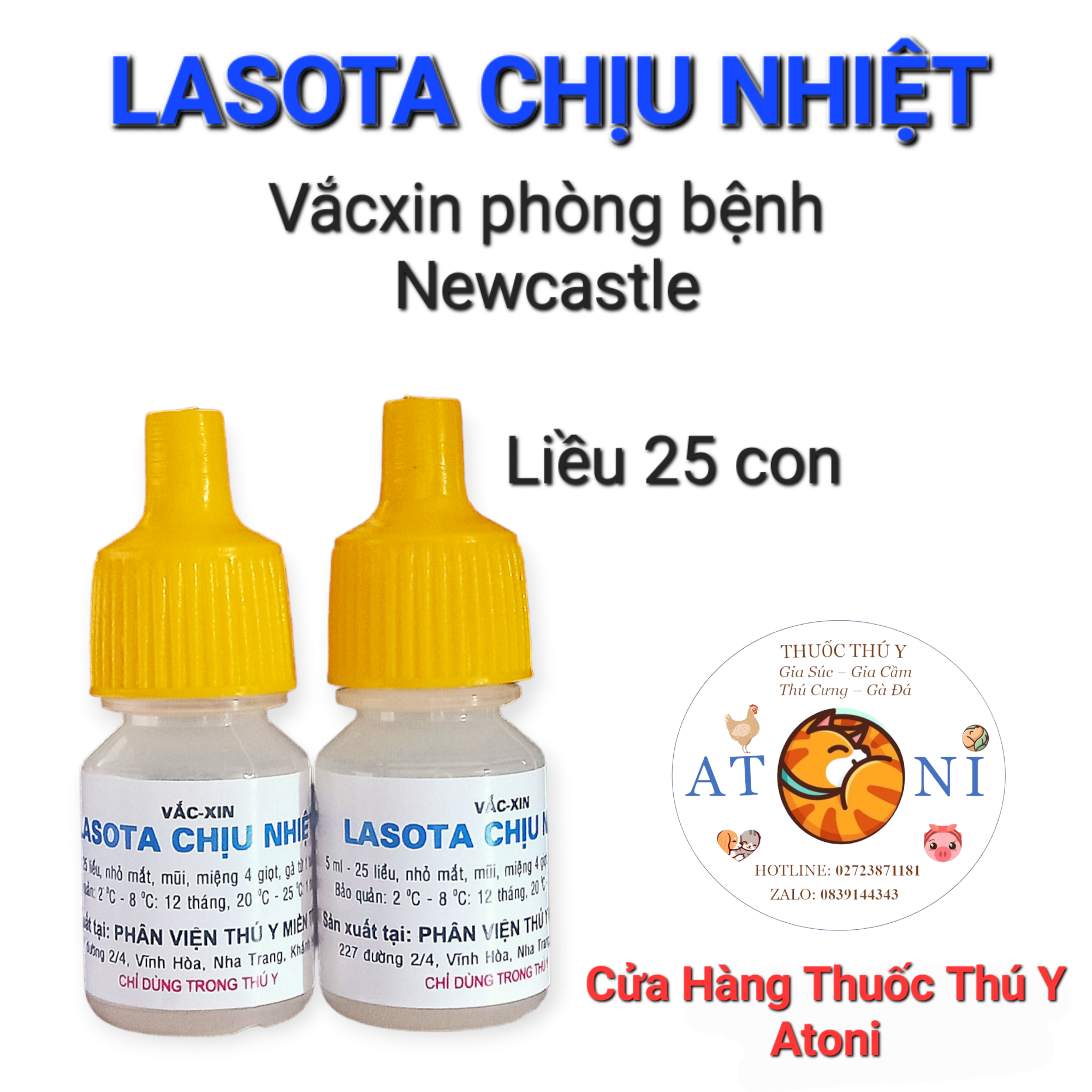 Vắc-xin lasota chịu nhiệt trên gà chọi gia cầm chim cảnh