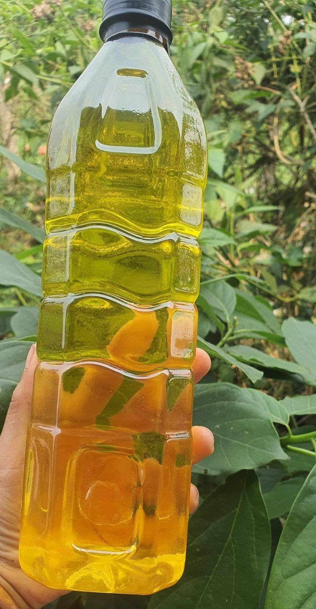 Dầu lạc ép thủ công 1 lít