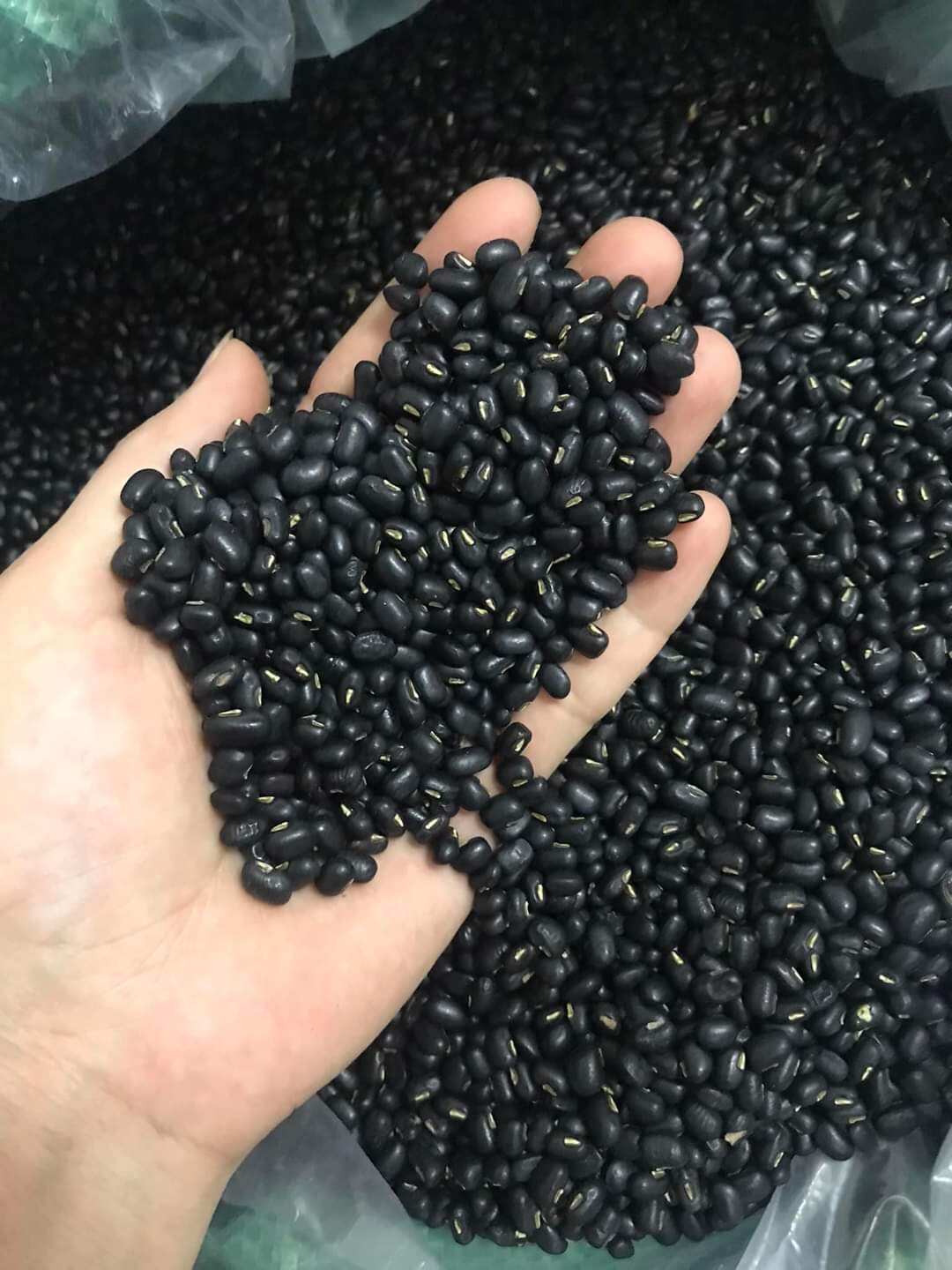 Đậu đen xanh lòng 1kg( Hút chân không)