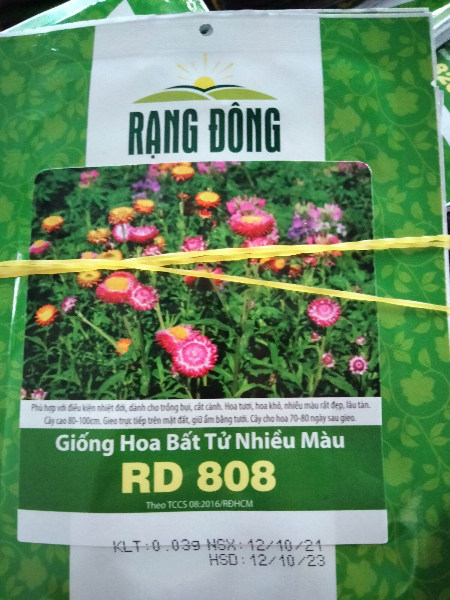 Hạt giống cúc bất tử