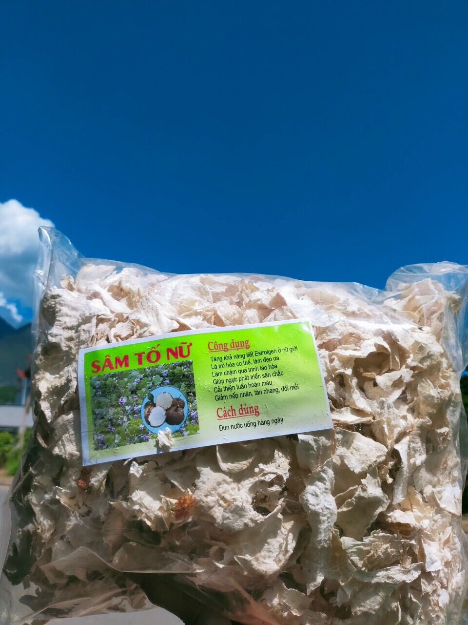 Sâm tố nữ thái lát phơi khô