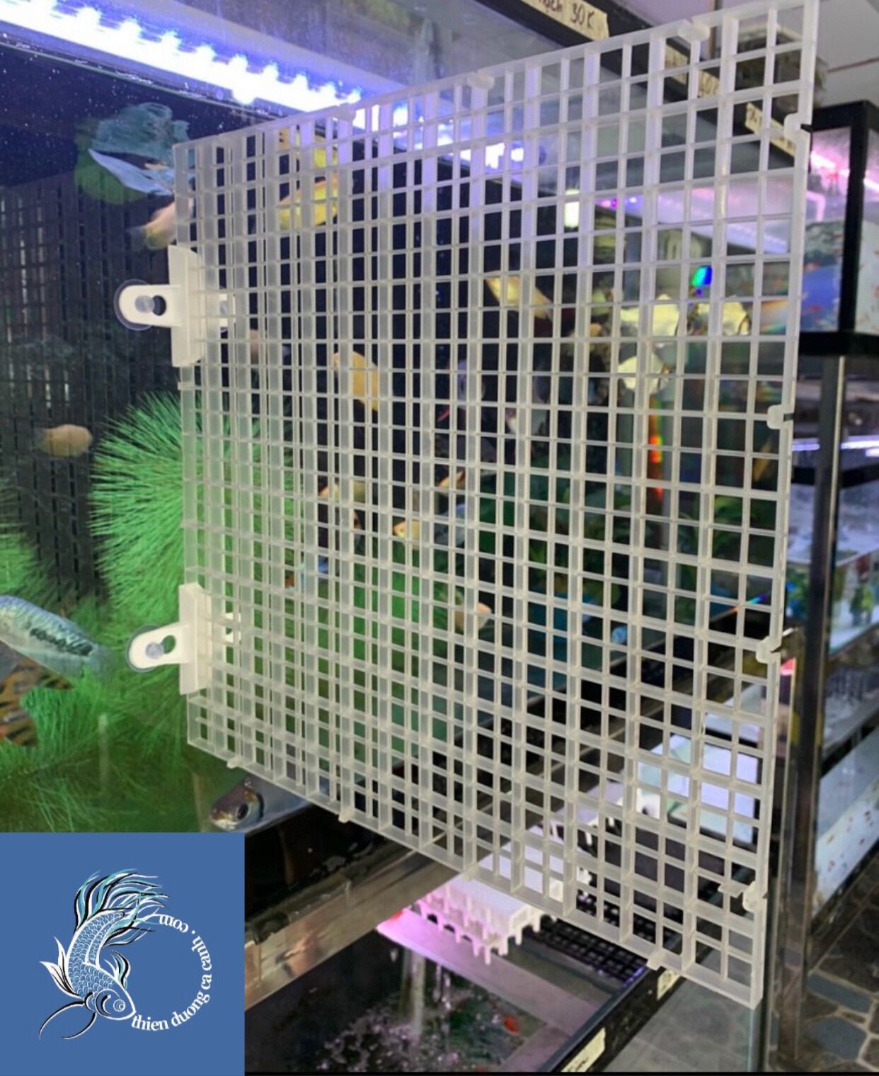 Hít Giữ Tấm Ngăn Bể Hồ Cá - 1 Cặp ( 2 cái)