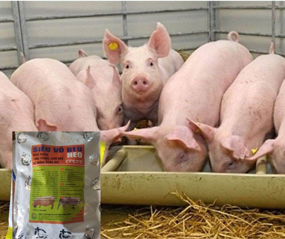 1kg Siêu Vỗ Béo Heo chất lượng cao.