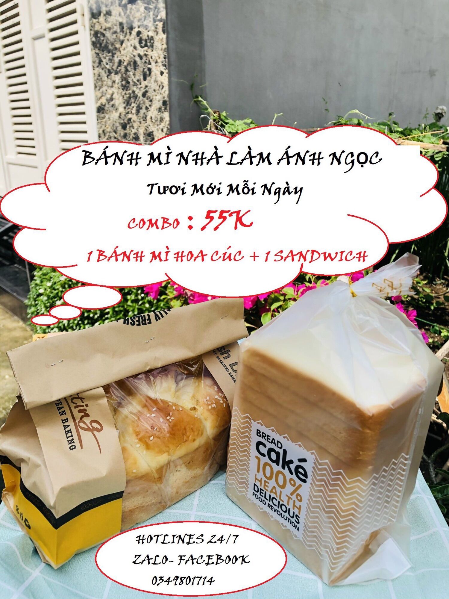 Combo 1 hoa cúc 250g- 1sw 350g
