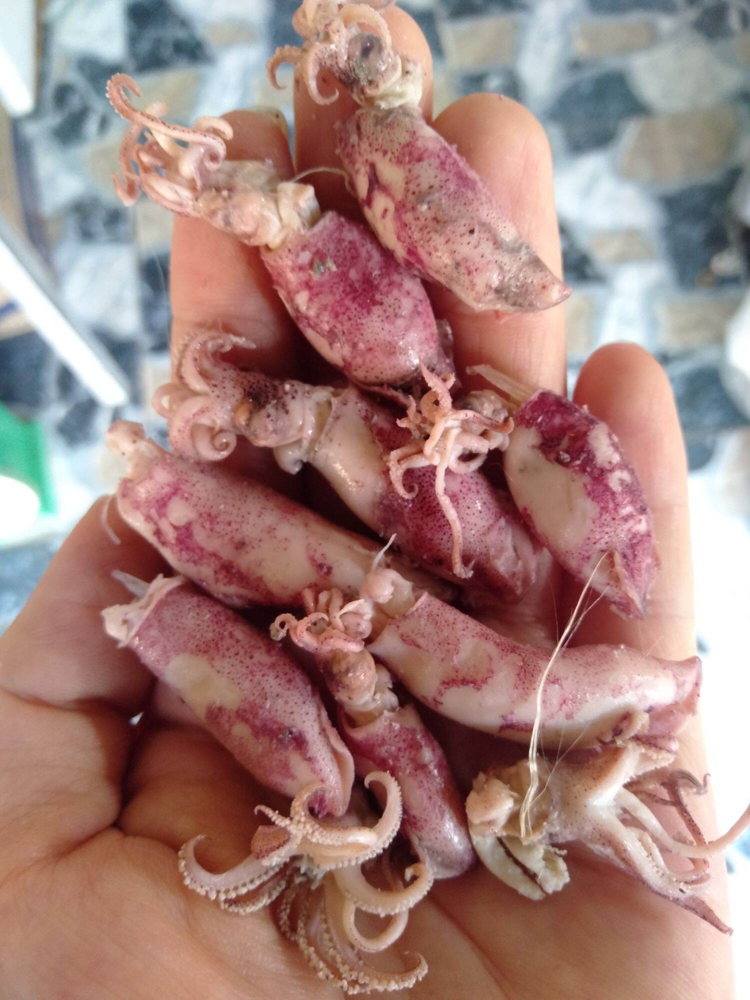 Mực cơm hấp