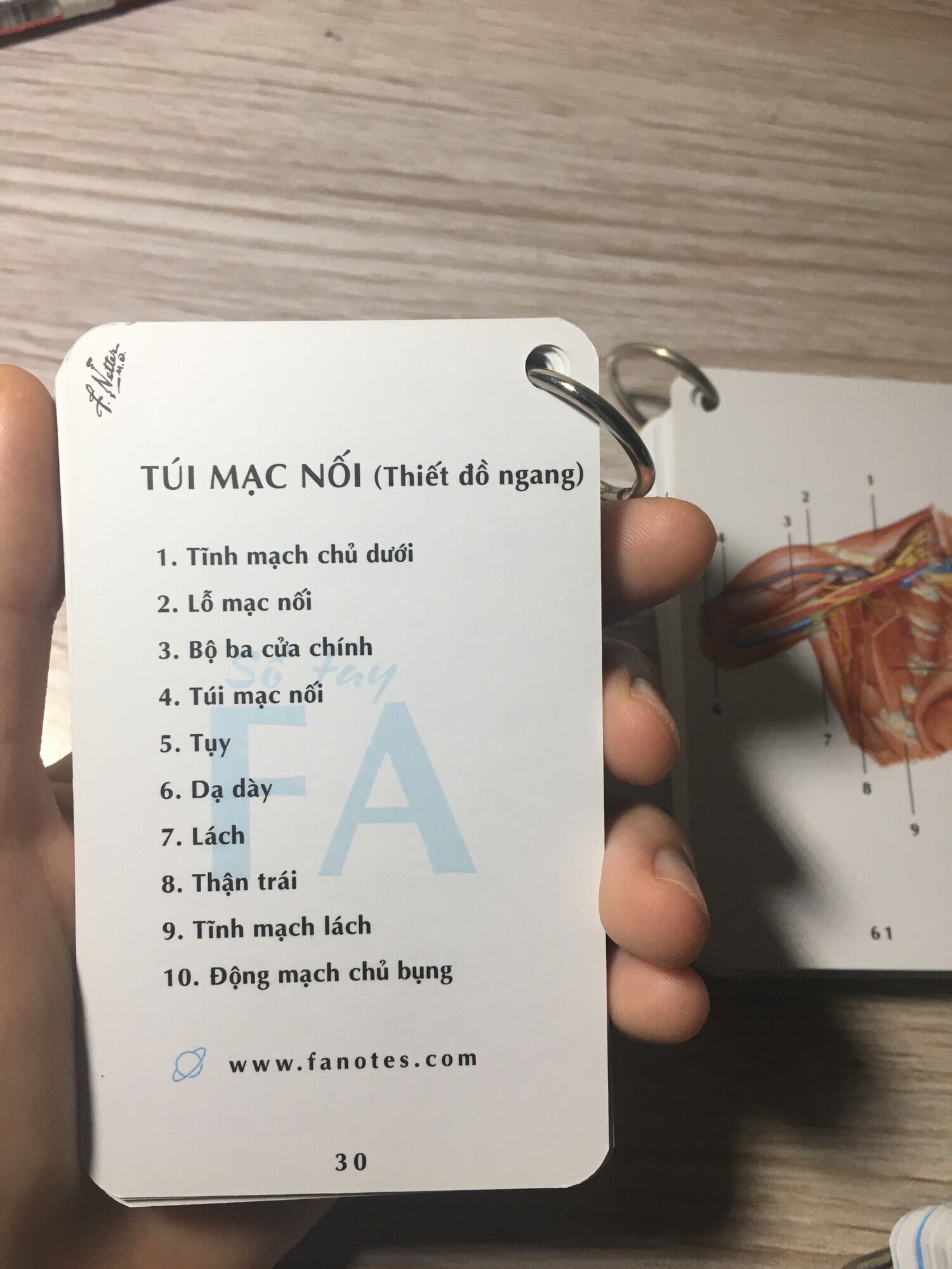 Combo sổ tay FA//Combo flashcardanatomy tiếng Việt