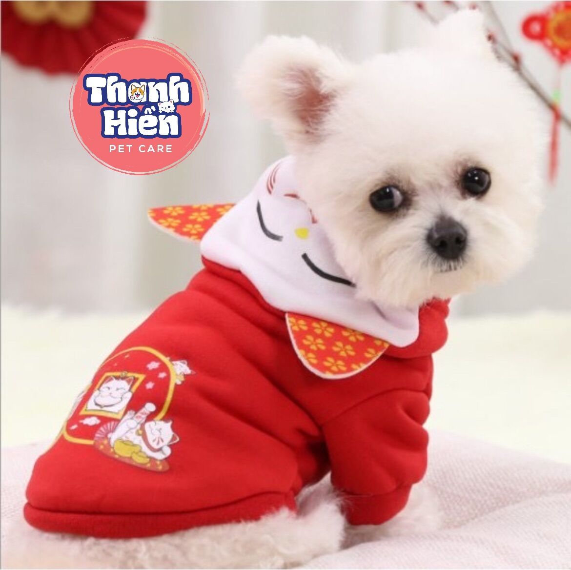Quần áo tết cho chó mèo