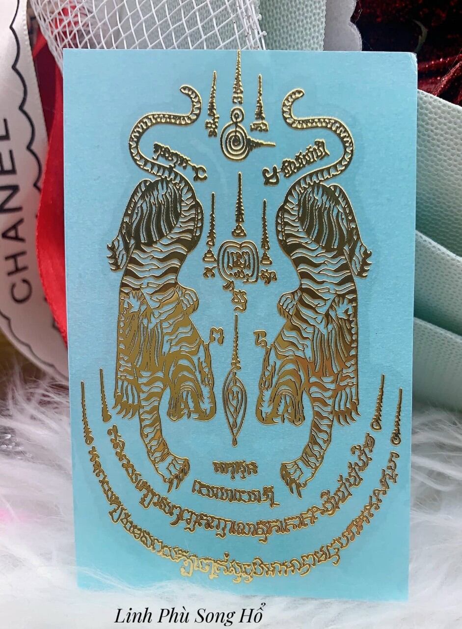 Phù song hổ quyền lực