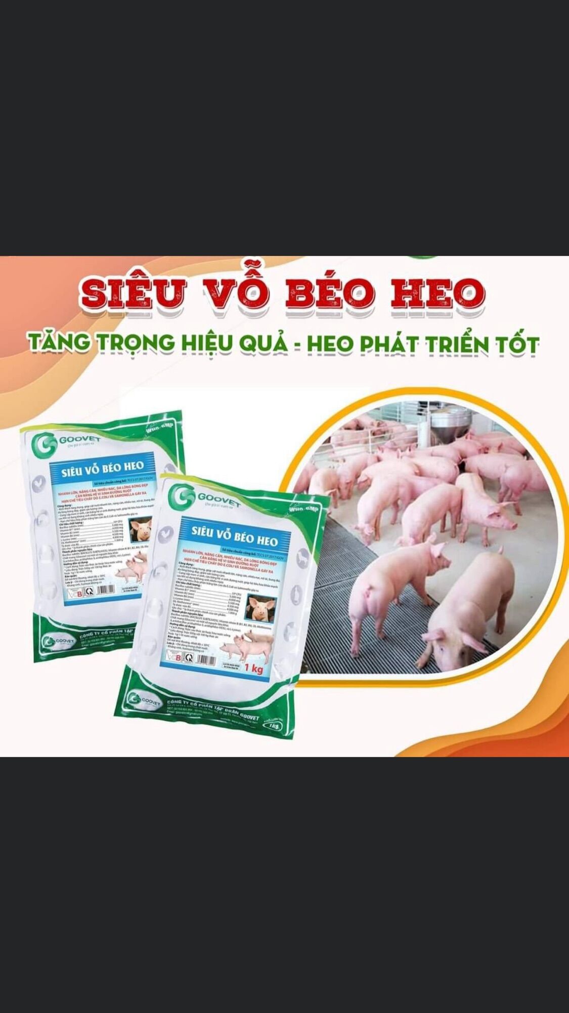 🍎Siêu vỗ béo heo🍎