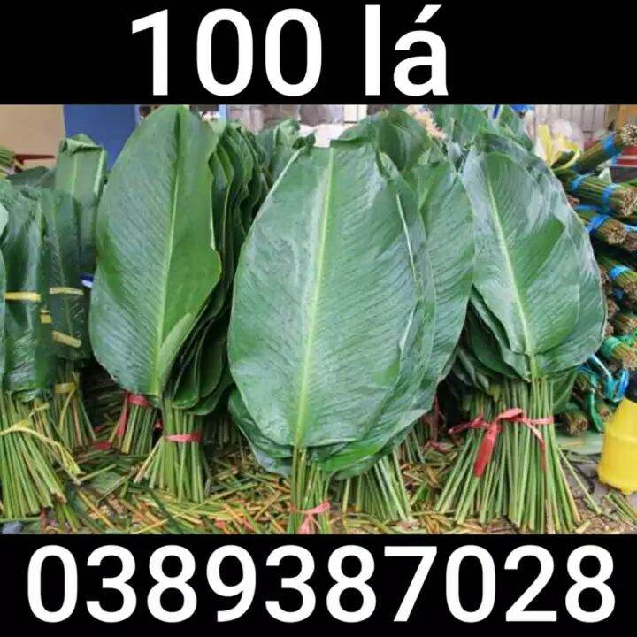 Lá dong,100 lá 20 đến 25cm và 100 lạt buộc