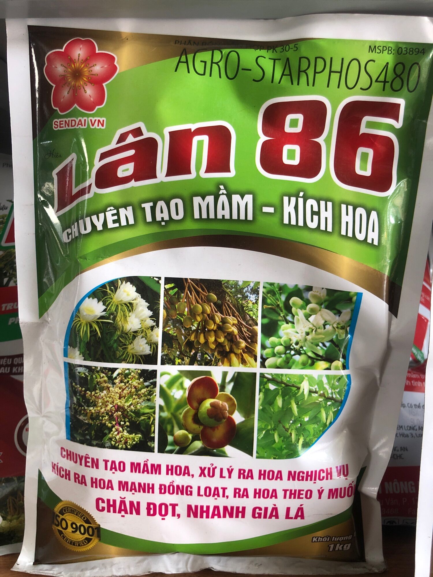 Lân 86 Chuyên tạo mầm hoa- kích hoa