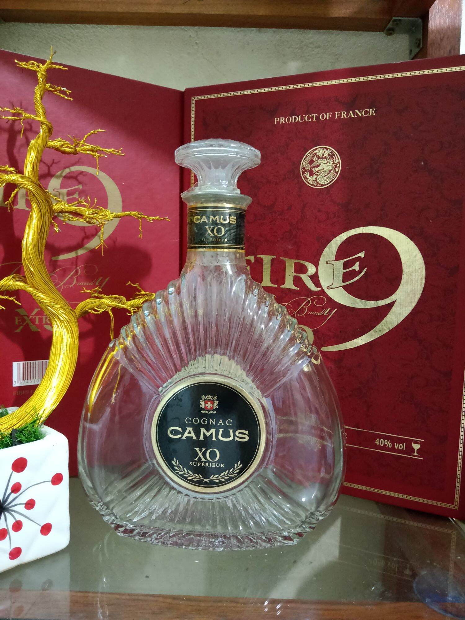 Vỏ chai XO Camus