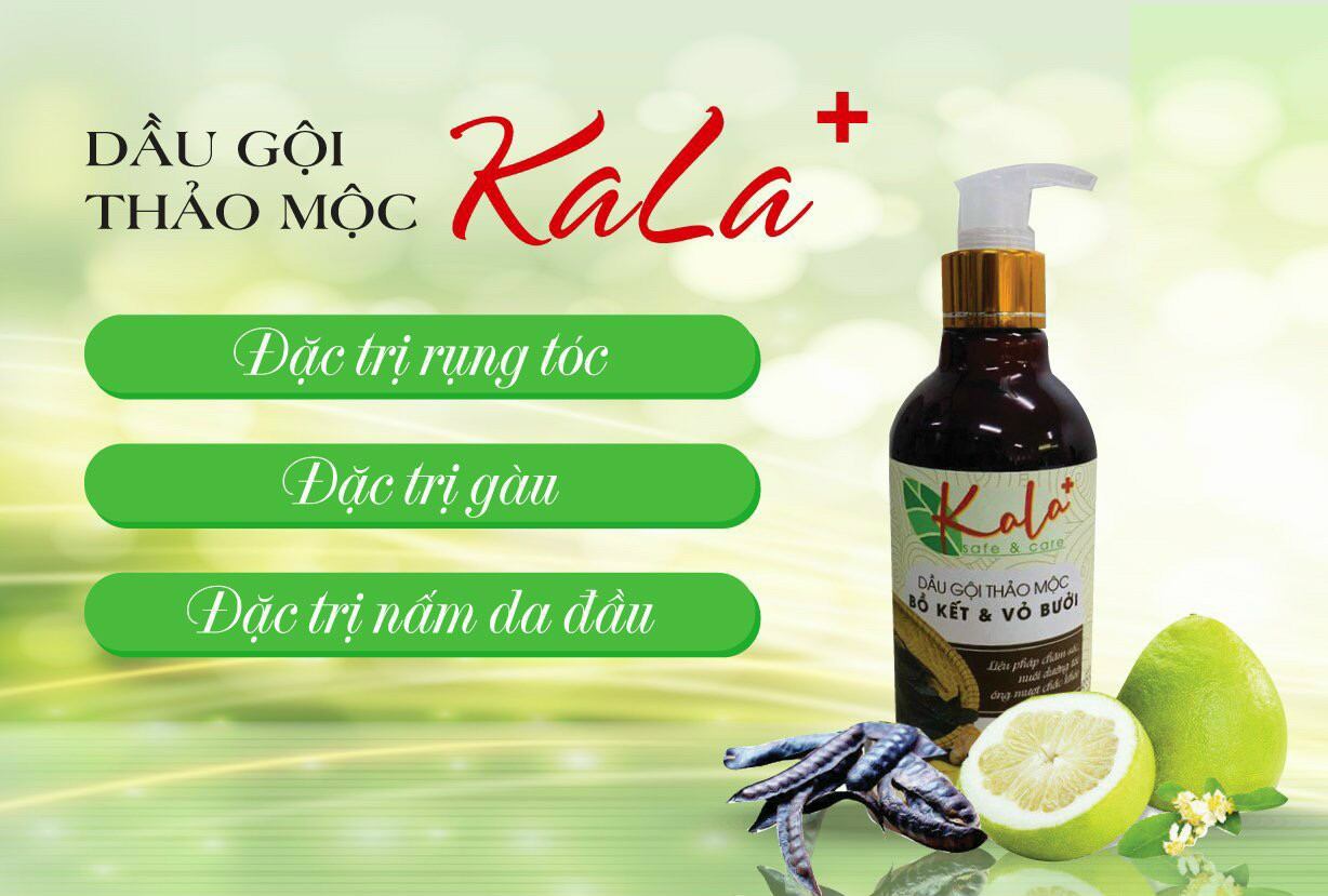 ✅ dầu gội thảo mộc kala cao cấp chiết xuất bồ kết và vỏ bưởi