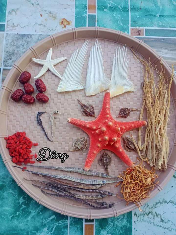Combo cá ngựa khô