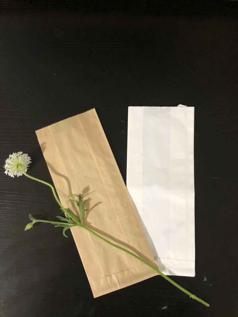 100 túi bánh mì nâu, túi bánh mì kraf giấy nhập khẩu, túi bánh mì truyền thống