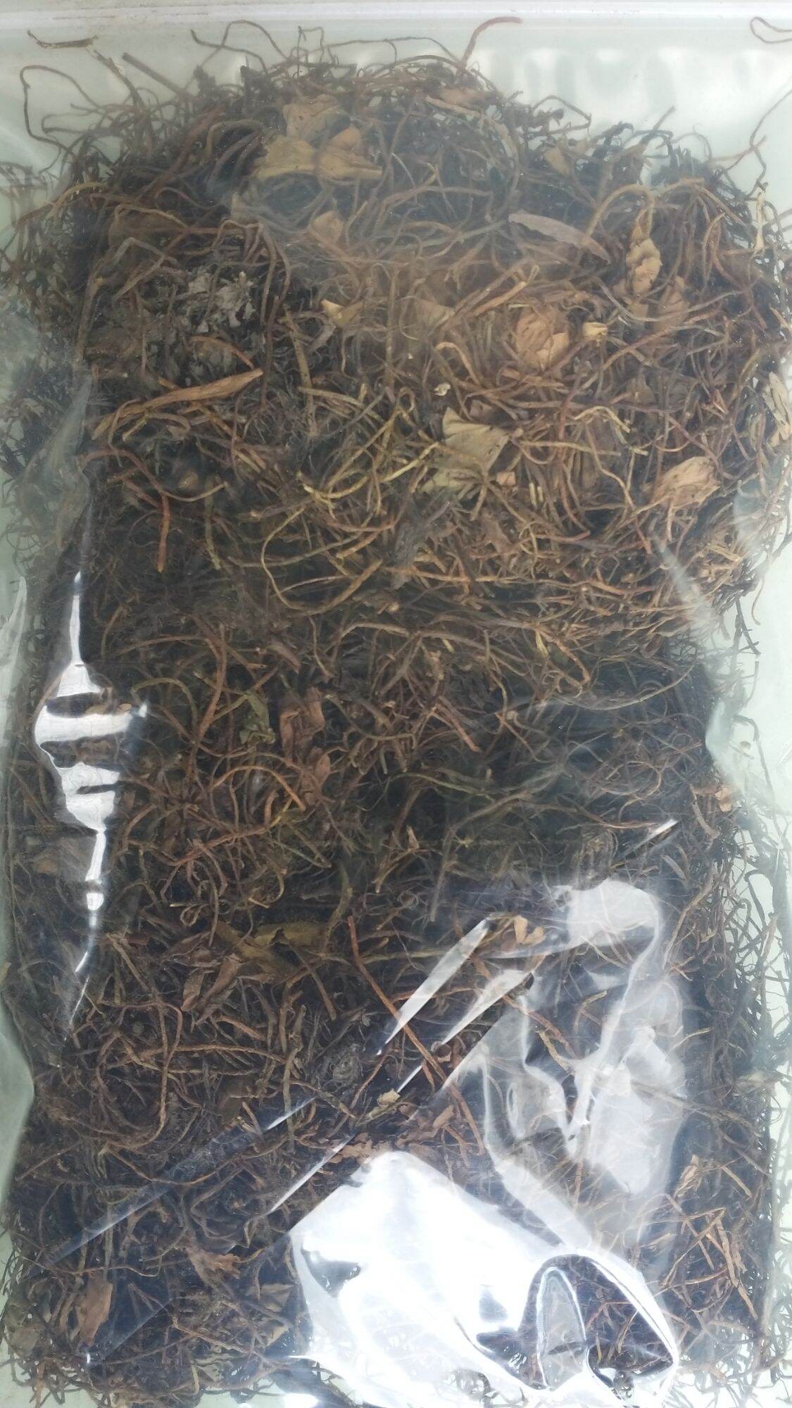 cây rau bợ phơi khô 1kg
