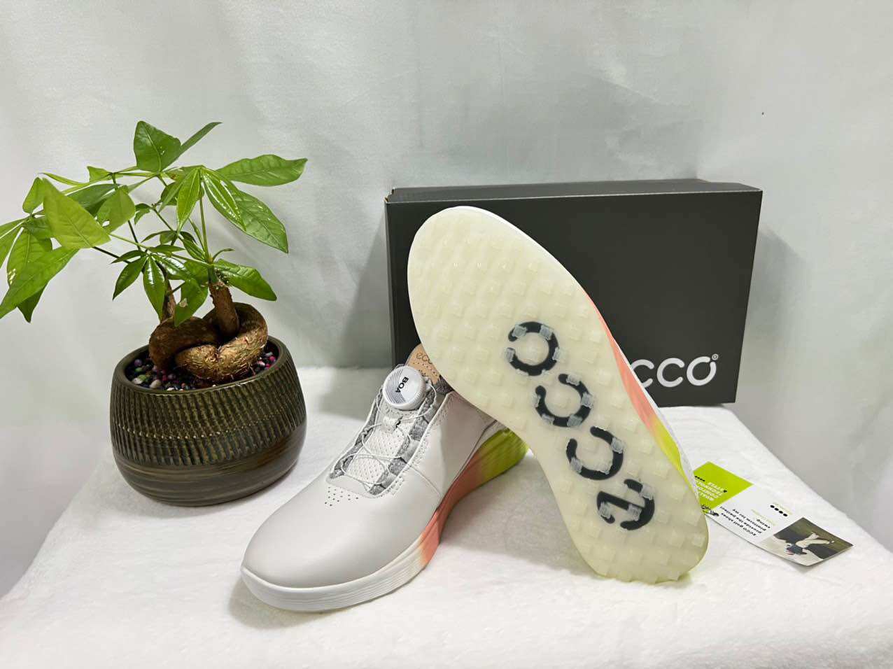 Giày golf nữ Ecco thể thao giá rẻ núm vặn êm chân thoáng khí