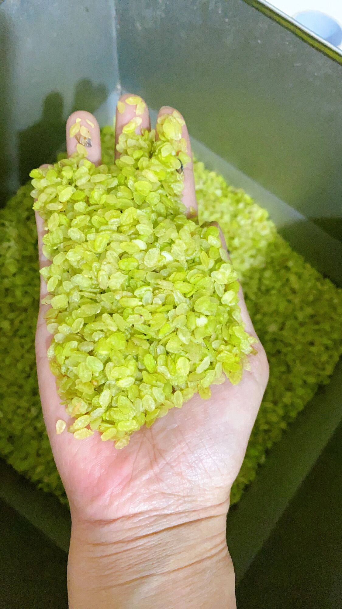 500G Cốm khô Tú Lệ thơm ngon