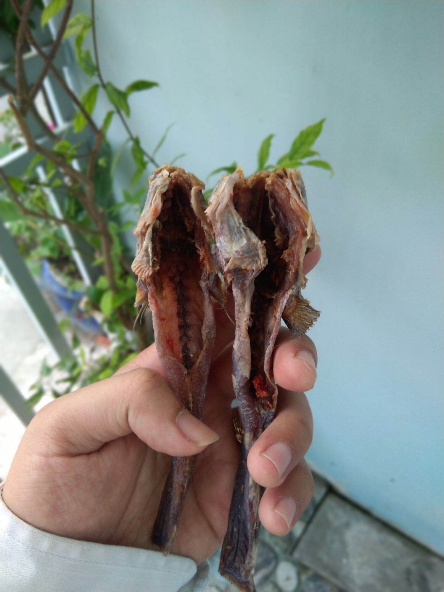 Khô cá thòi lòi-Đặc sản Cà Mau.KL: 500 gr