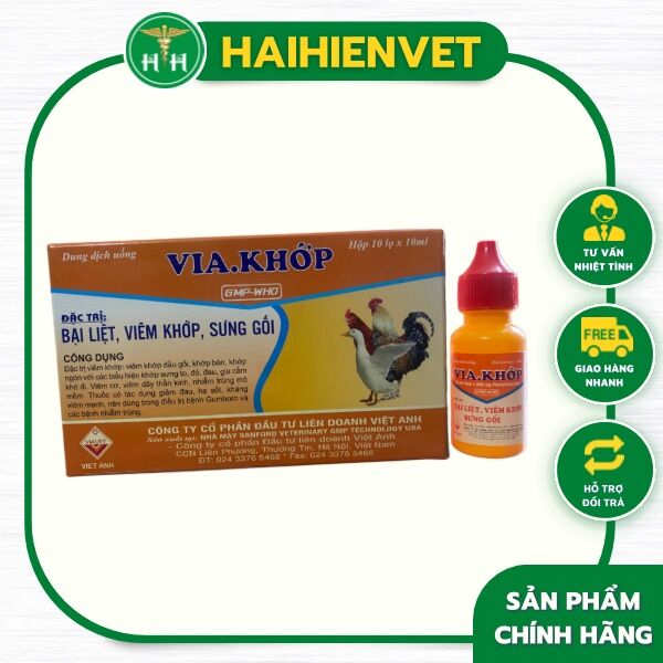 10 lọ VIA KHỚP 10ml - BẠI LIỆT, VIÊM KHỚP, SƯNG GỐI