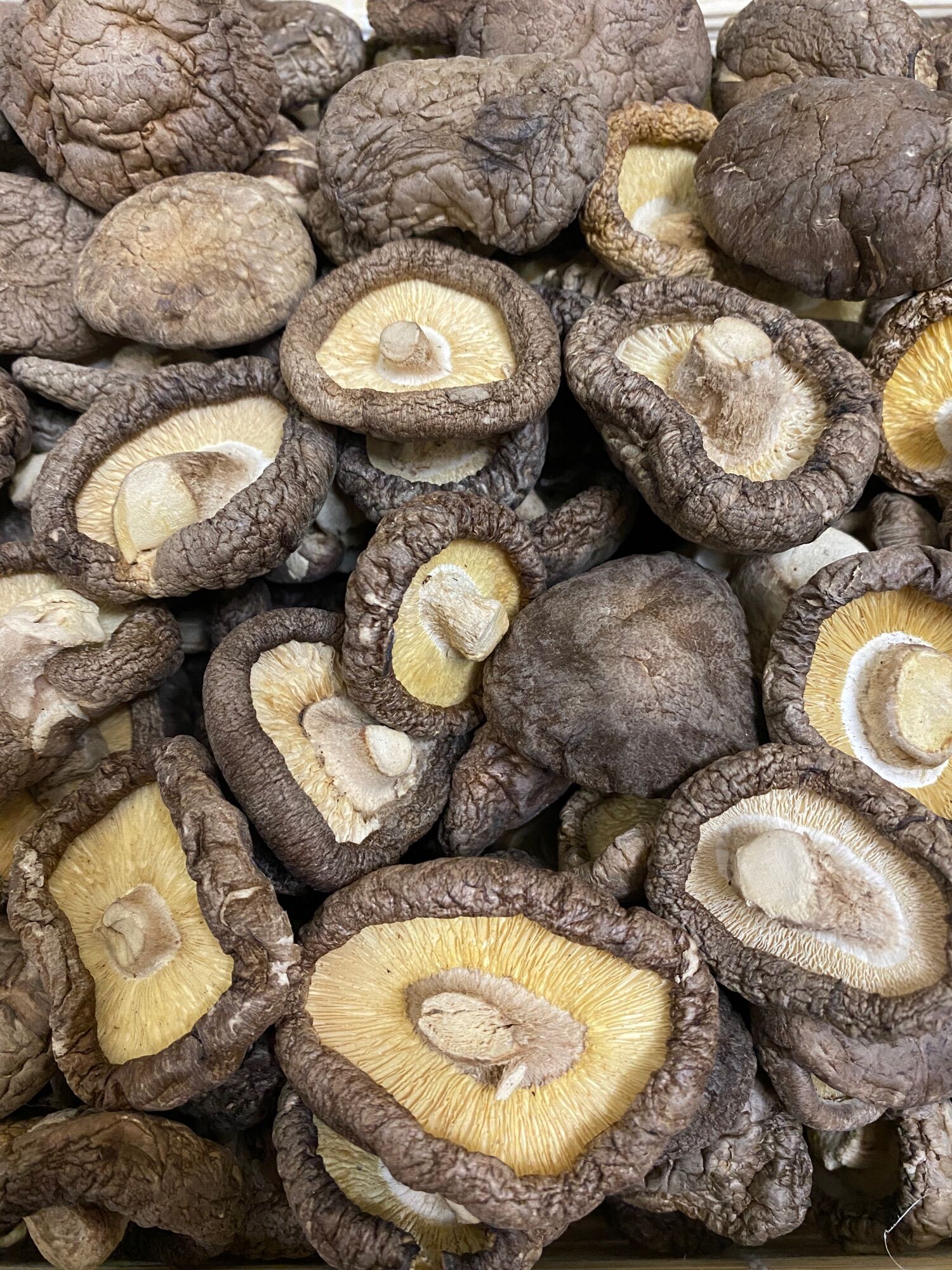 1KG NẤM ĐÔNG CÔ LOẠI 1 (Nấm Size To Đều, Dày, Khô, Luôn Về Mới)