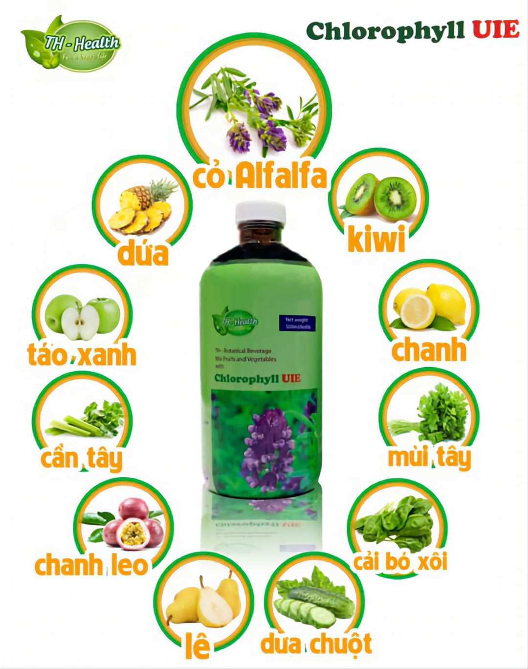DIỆP LỤC TH - CHLOROPHYLL UIE PLUS