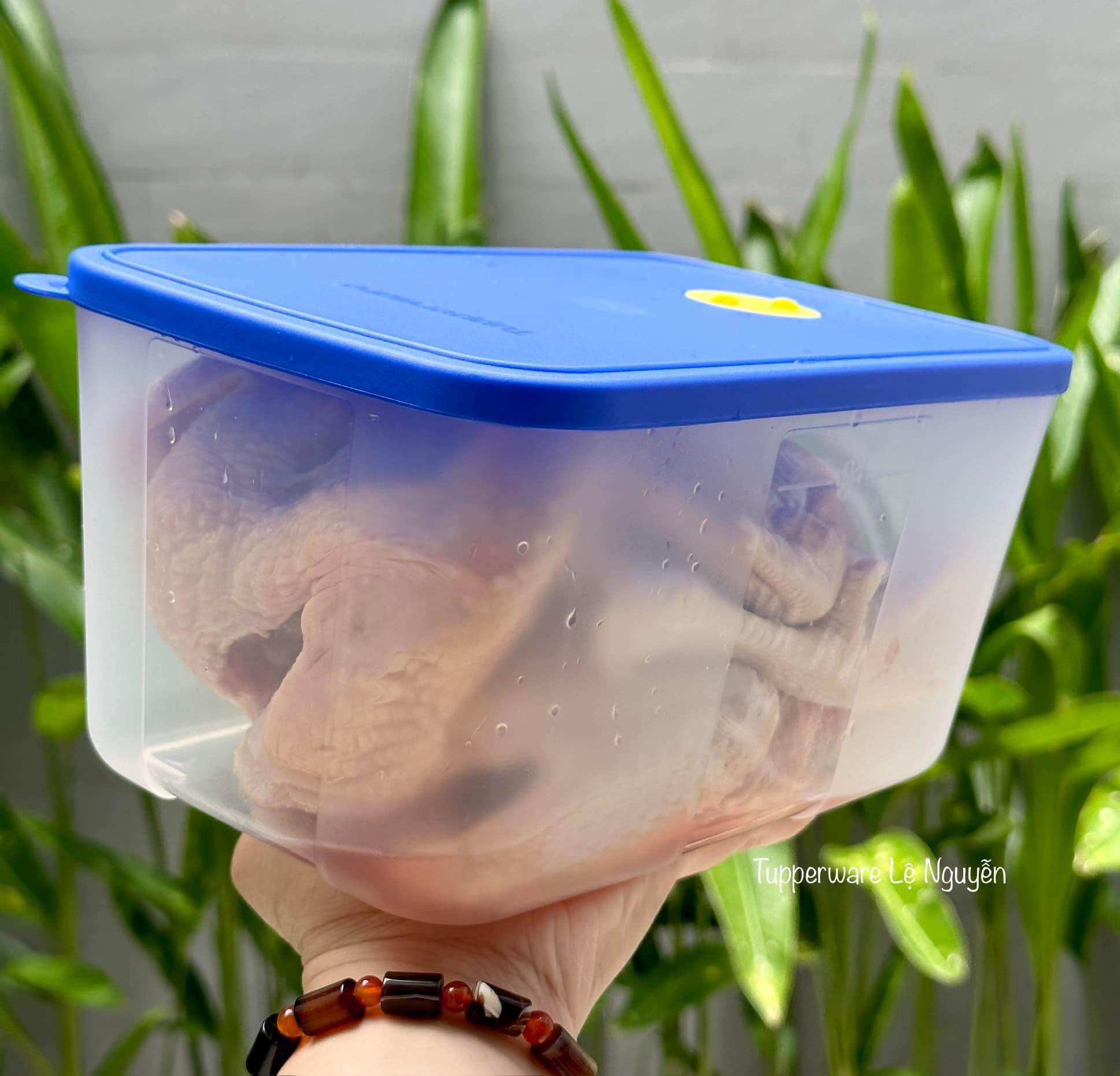 Hộp trữ đông Freezermate 2.3L tupperware