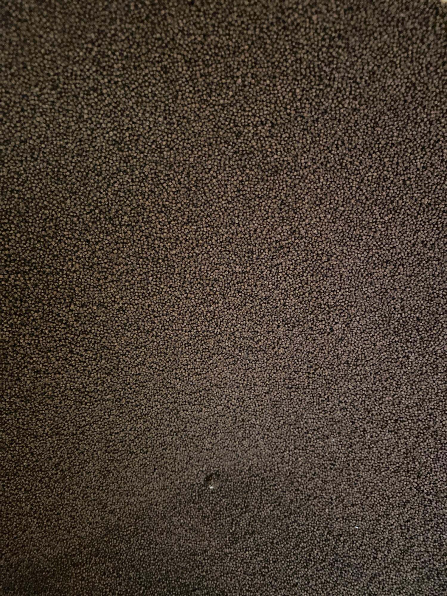 Thức ăn cá (0.8ly  45đạm ) 1kg 50k cko các loại cá kiểng lia thia cá 7 màu cá coi...các loại cá khác