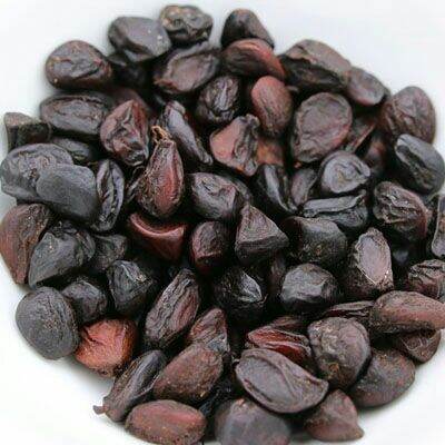 5 hạt dổi nếp rừng