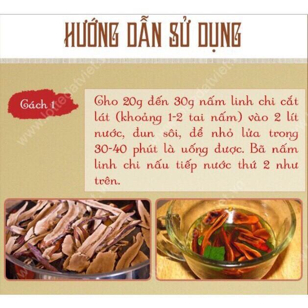 Nấm linh chi thái lát Hàn Quốc-túi 500g (hàng chuẩn Cty)