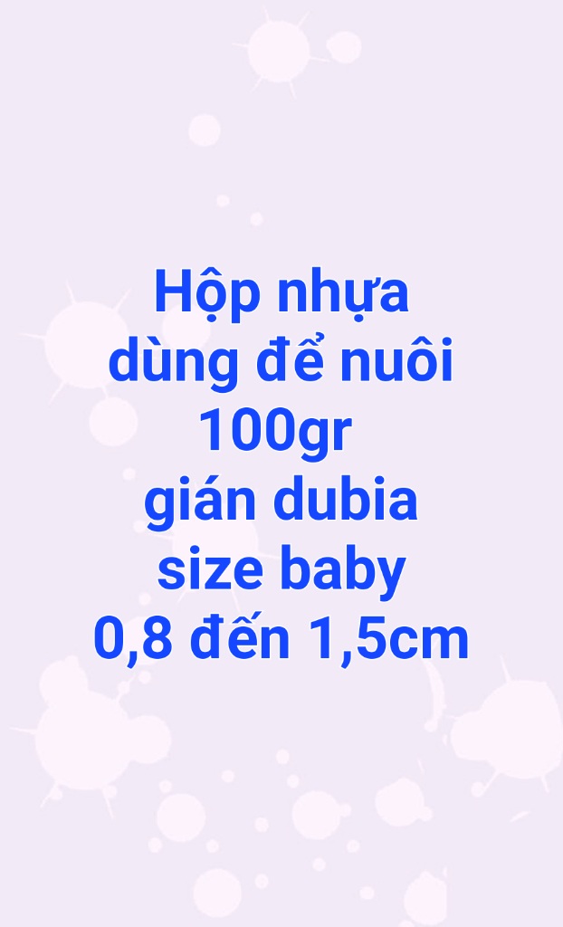 Hộp nhựa dùng để nuôi 100g gián dubia size baby 0,8-1,5cm.