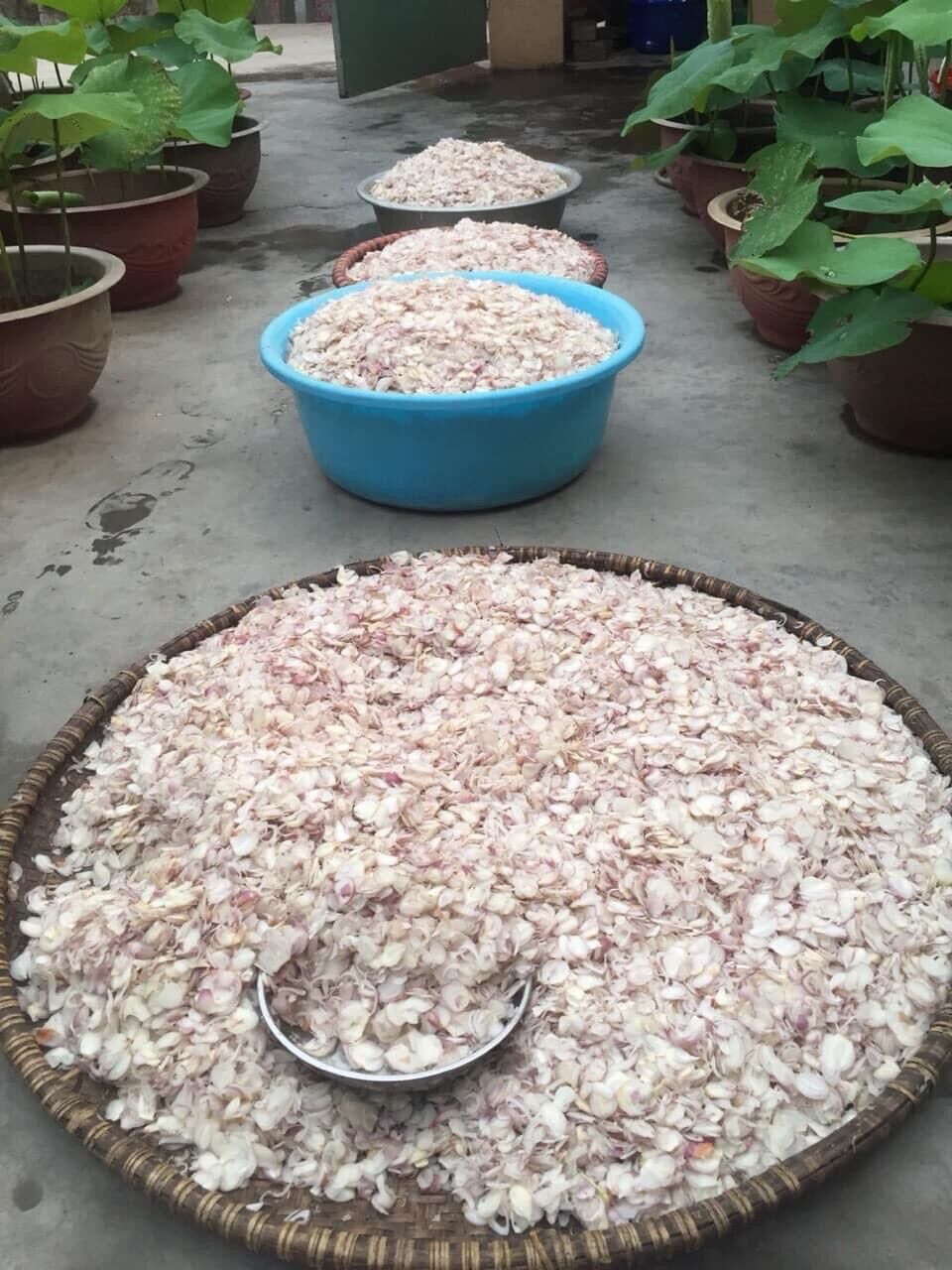 Hành phi khô hộp 500g