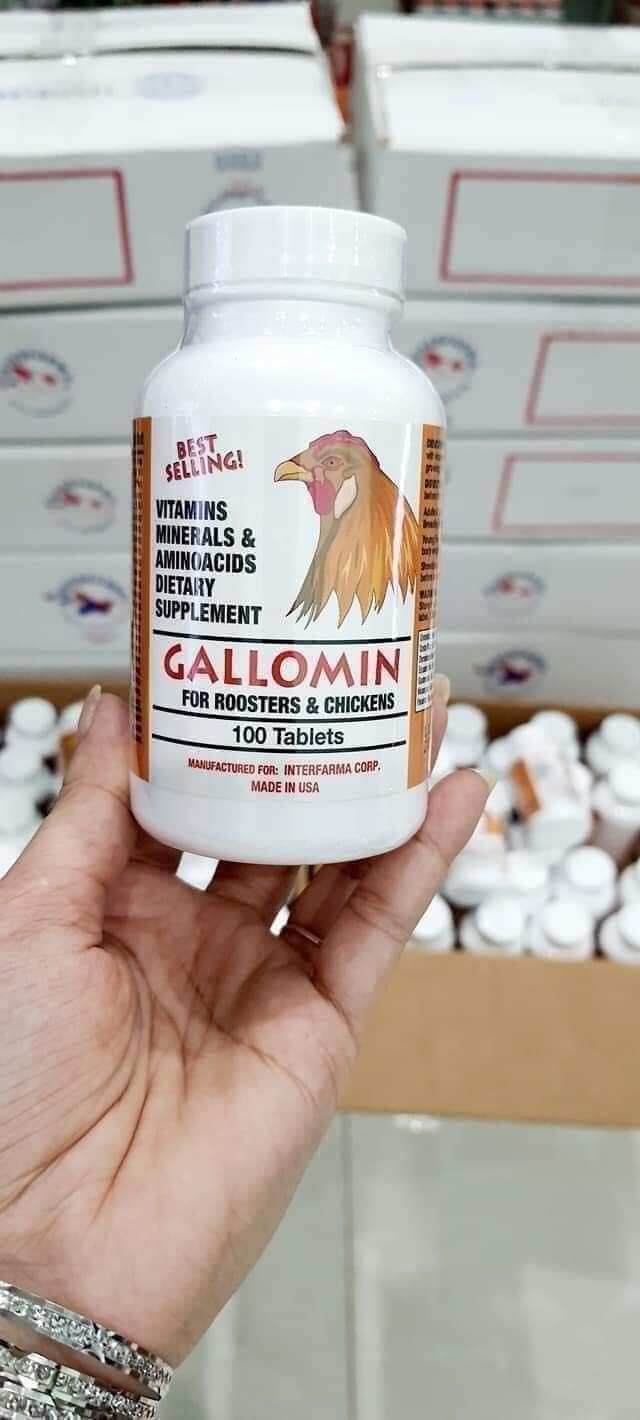 Gallomin hủ 100v tăng bo cho gà