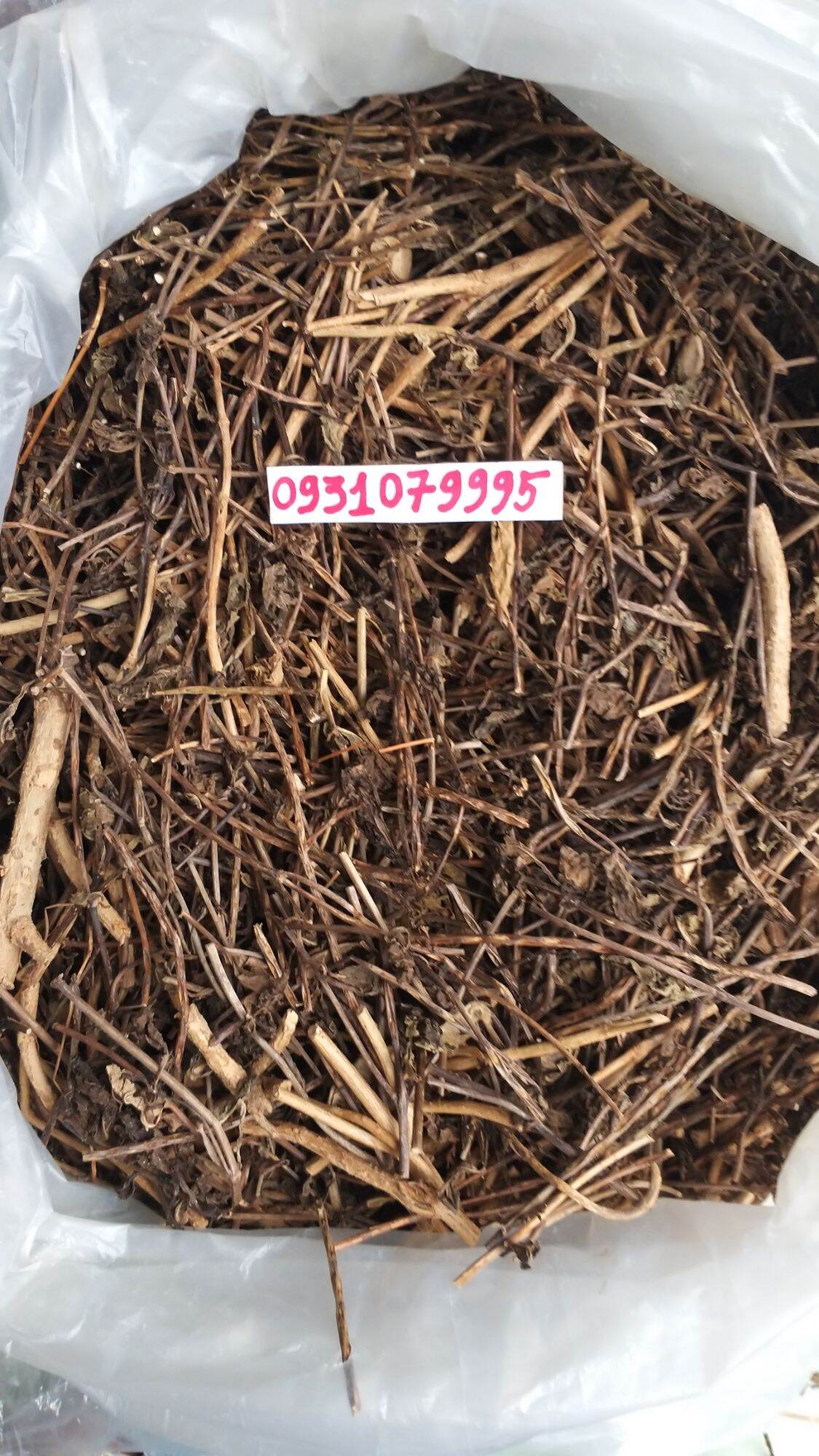 cây đuôi chuột phơi khô 1kg