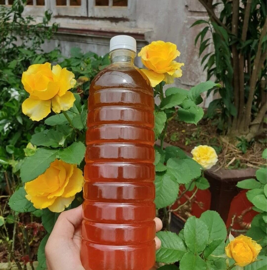Mật Ong Hoa Cà Phê 1 Lít