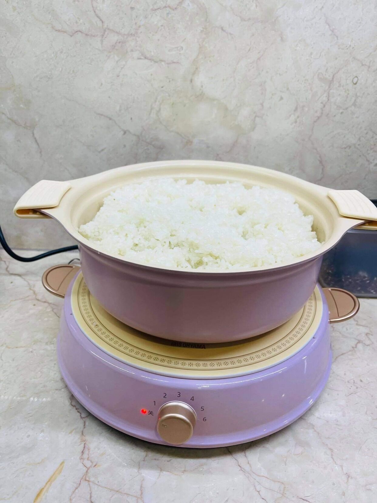 🌻😍 NỒI LẨU RICOPA - HÃNG IRIS OHYAMA R14C