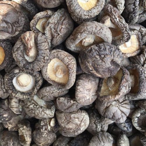 Nấm đông cô khô loại 1 - 1kg