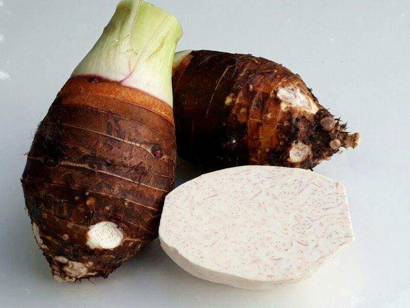 Khoai môn sáp vàng, khoai môn tím 500g