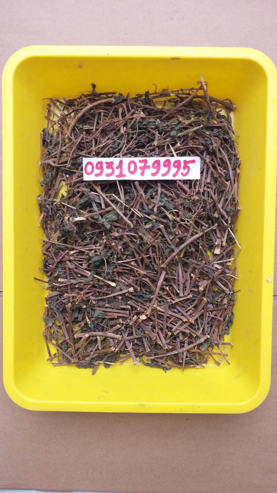 cây lá dòi - lá dòi tía phơi khô 1kg