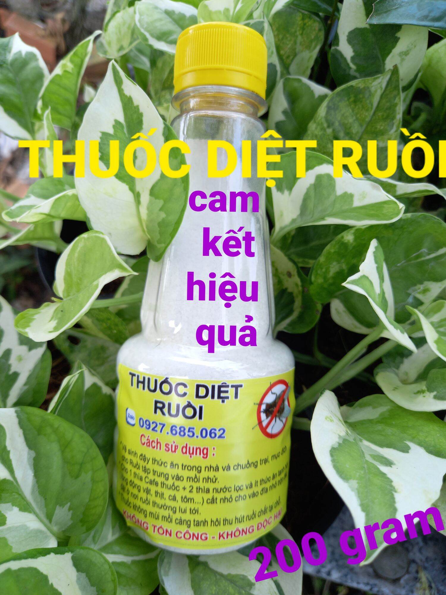 Thuốc diệt ruồi an toàn tiết kiệm