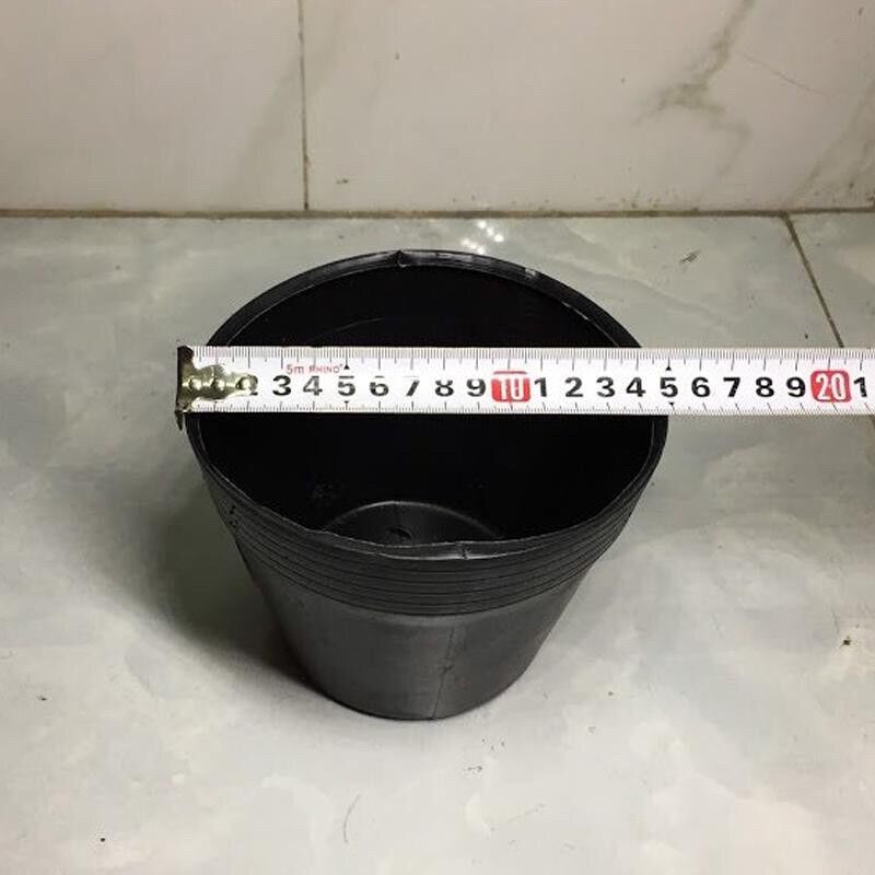 5 CHẬU TRỒNG CÂY C6- CHẬU ƯƠM GIỐNG