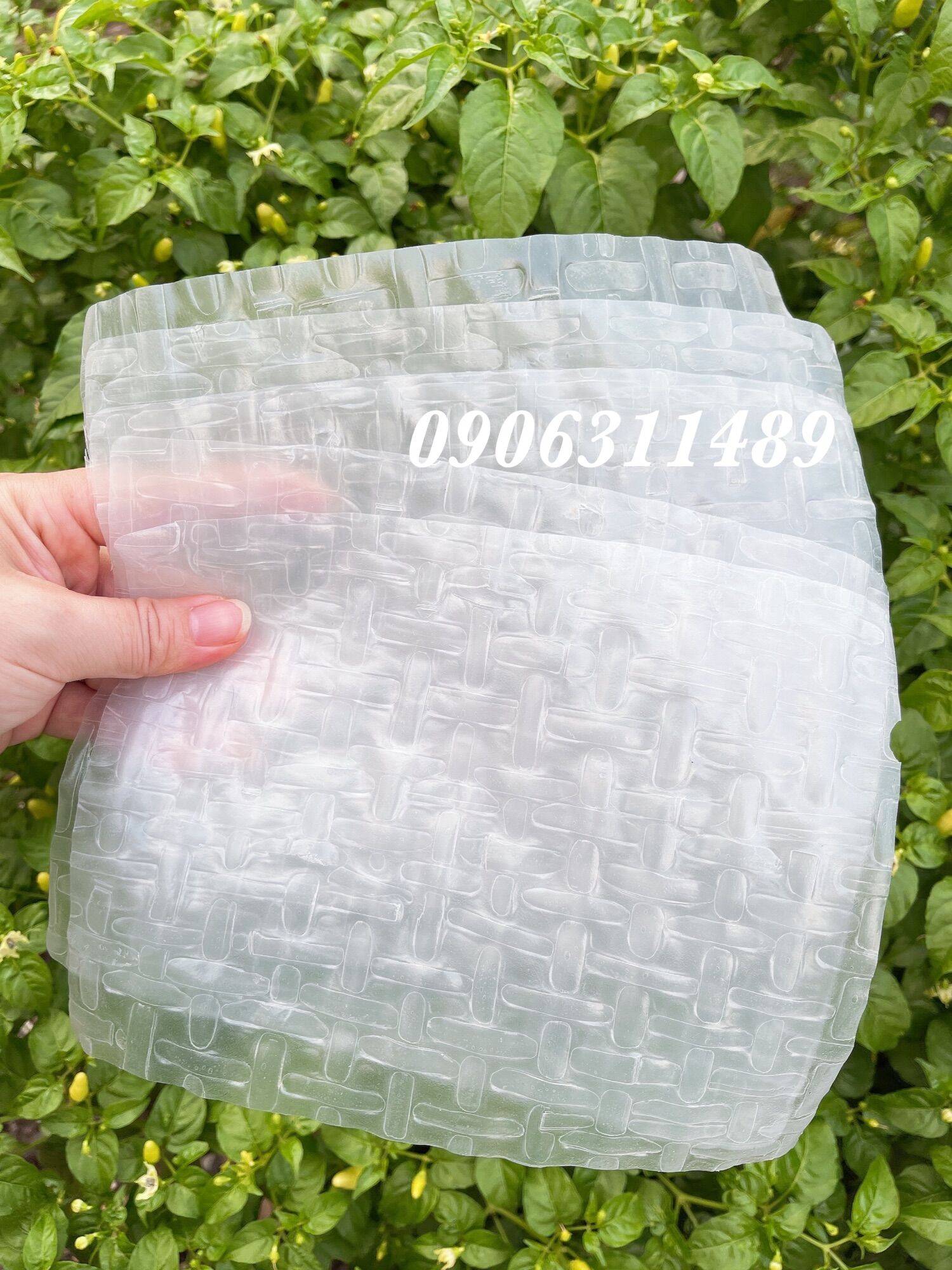 [HCM]Đặc Sản Bánh Tráng Siêu Mỏng Củ Chi (1ky)