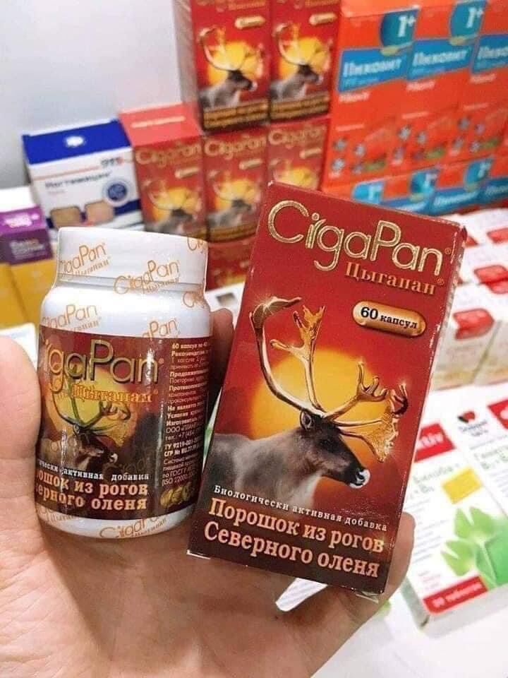 Nhung hươu Cigapan của Nga