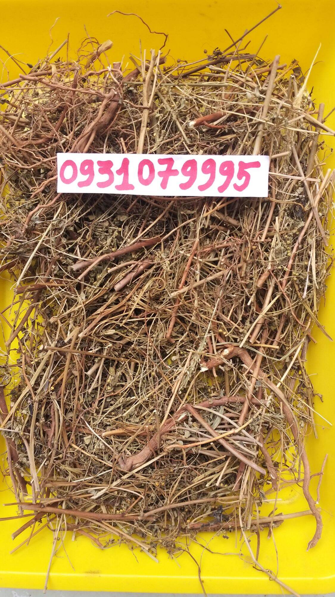 Cây chó đẻ - diệp hạ châu phơi khô 1kg