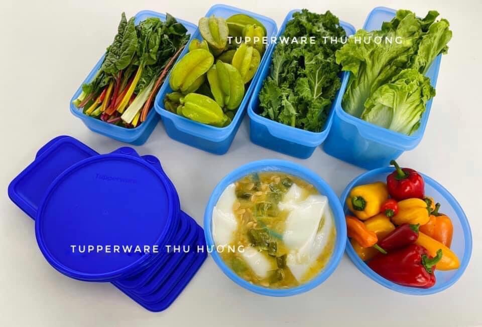 Bộ Trữ Mát Freshia 6 Hộp Tupperware