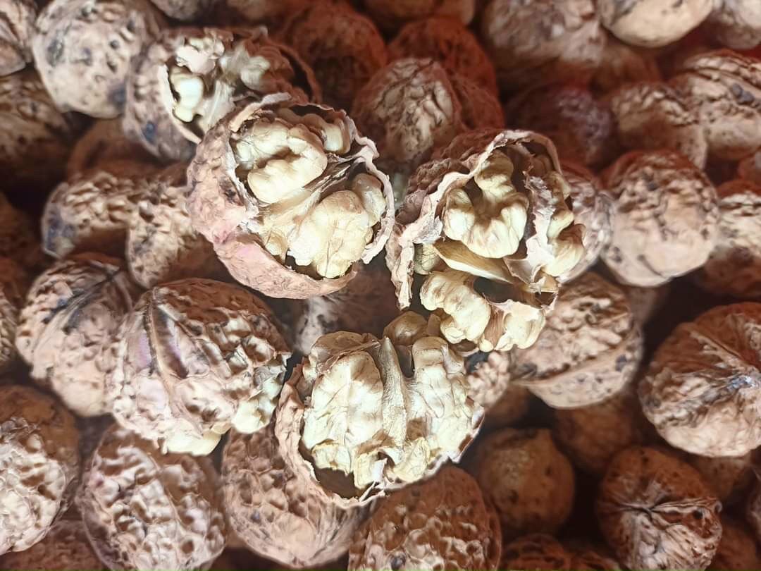 Quả óc chó nếp vàng sấy chín  500gr