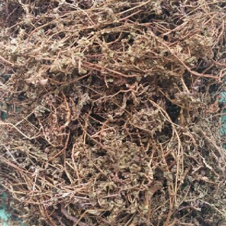 500g cỏ sữa