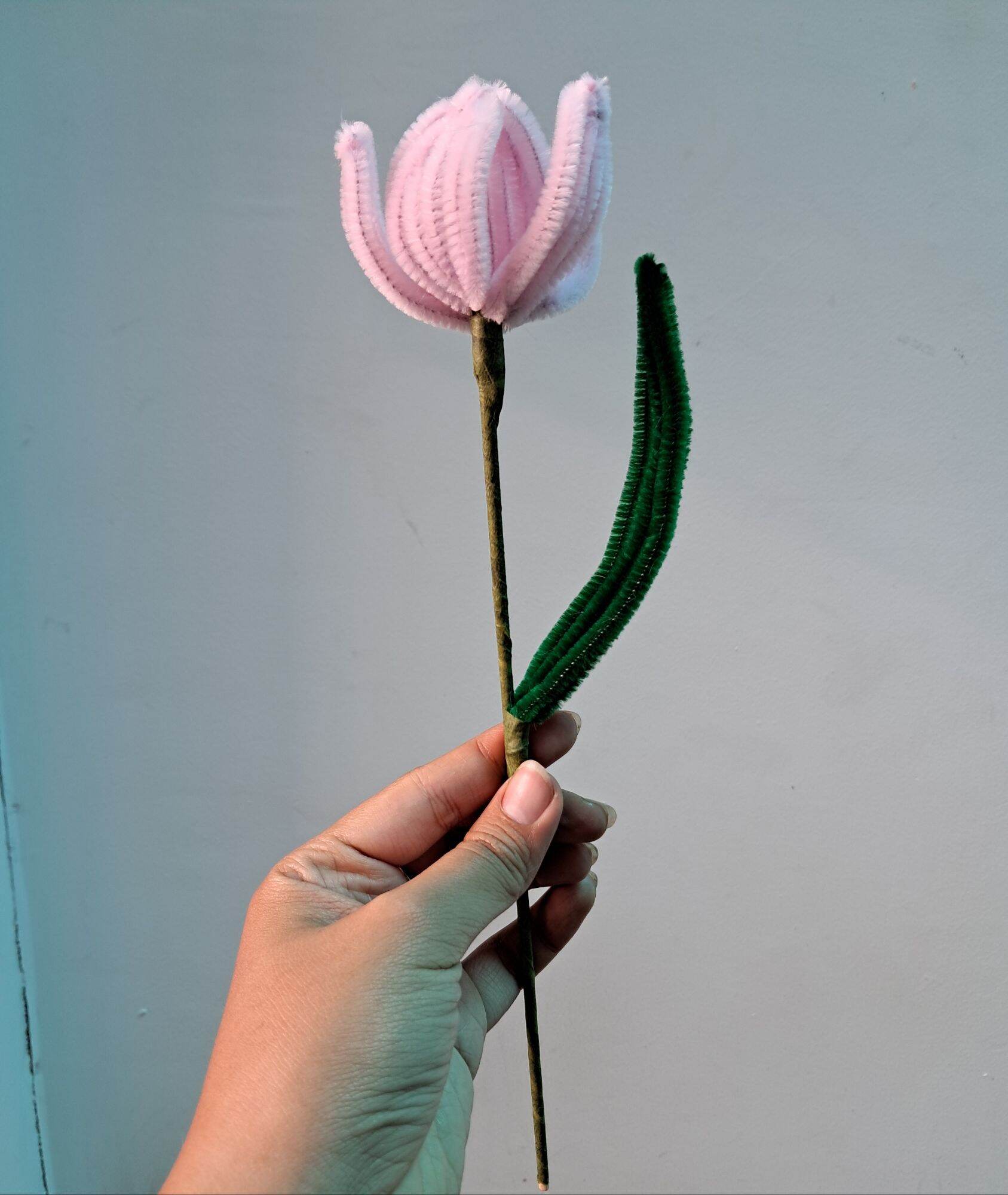 Hoa tulip bằng kẽm nhung