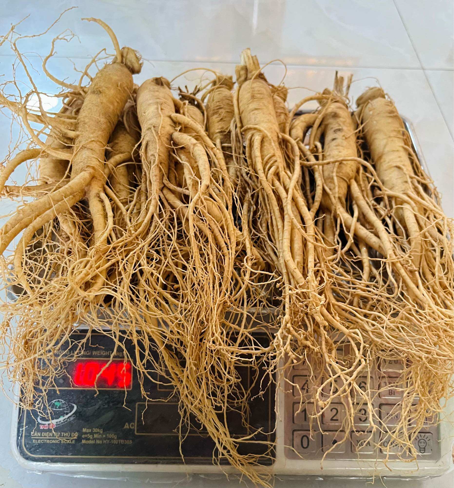 1 Củ Nhân Sâm Tươi Hàn Quốc Size 10 Củ/Kg, 1 củ 100gram