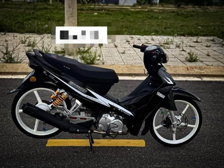 Tem rời sirius đen